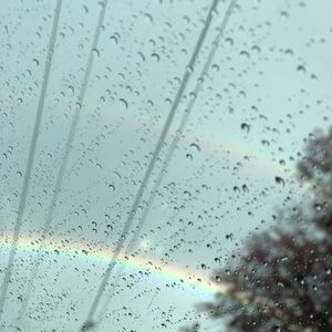 Meet your Posher, Annabelle